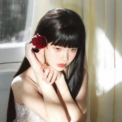 狮子今夜入睡